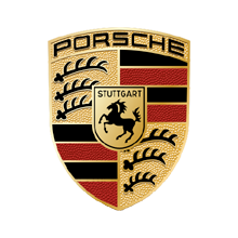 neumaticos porsche