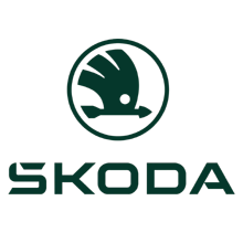 neumaticos skoda